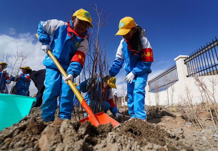 2025年4月25日，西藏那曲市小學生在植樹。