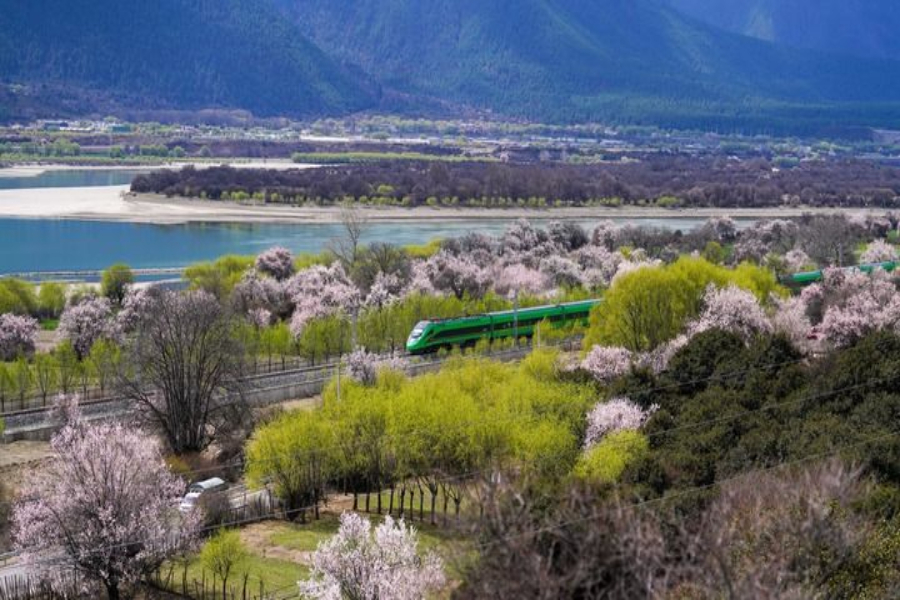 2025年4月2日，復(fù)興號(hào)列車(chē)穿行在拉林鐵路林芝段。