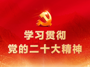 學(xué)習(xí)貫徹黨的二十大精神