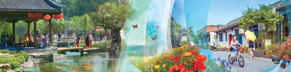 “居家過日子”越來越便利