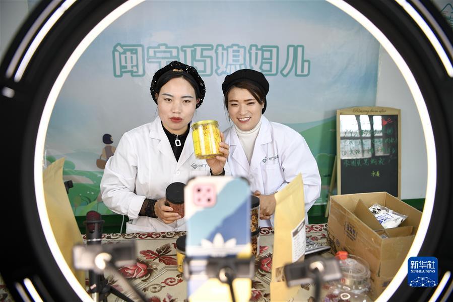 寧夏銀川市永寧縣閩寧鎮(zhèn)閩寧禾美電商扶貧車間員工在直播帶貨（2020年11月11日攝）。