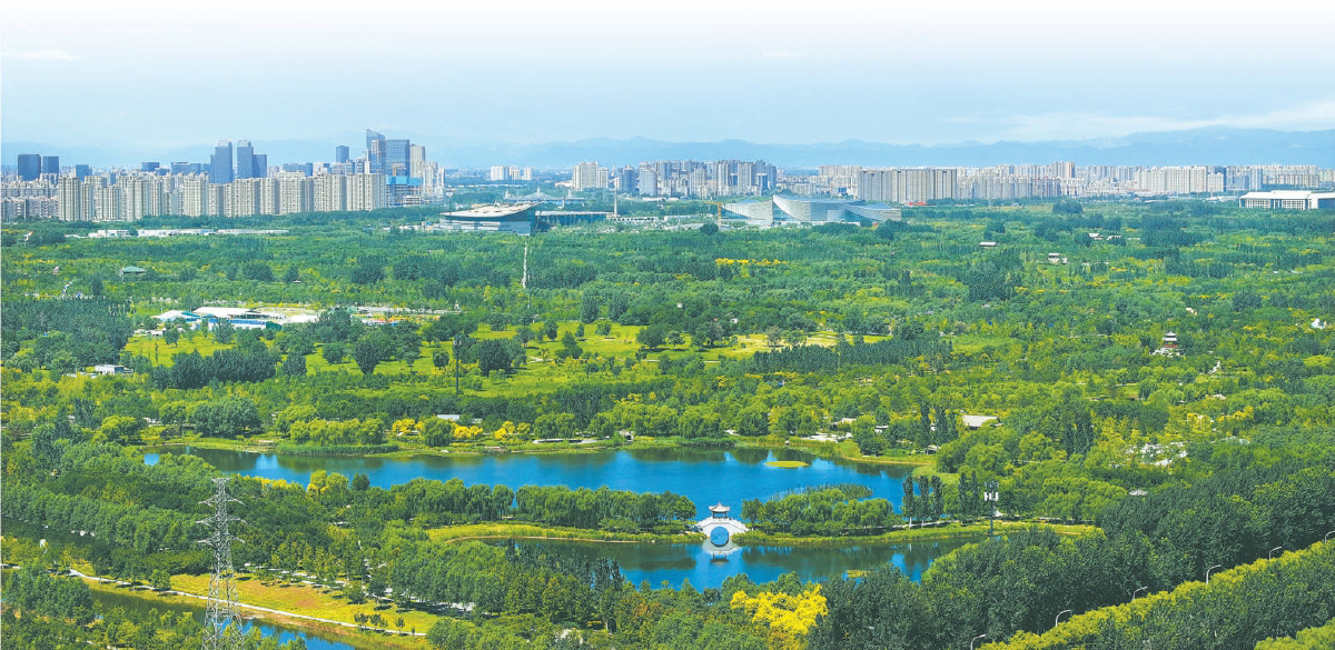 從城市綠心森林公園遠眺，三大文化建筑與副中心城區(qū)既和諧共生又異彩紛呈，魅力無限。