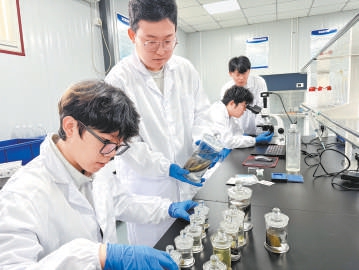 學(xué)生們正在實驗室內(nèi)做研究。