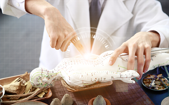 提升國際醫(yī)療服務(wù)水平