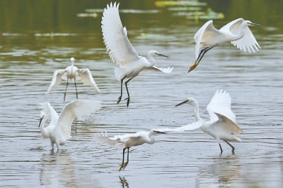 綠色節(jié)能環(huán)保發(fā)展-SEO