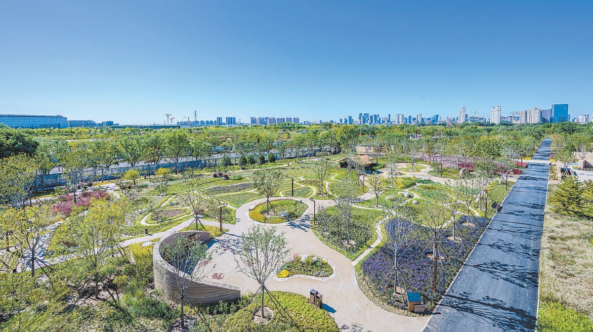 將于2025年5月對公眾開放的路縣故城遺址公園。