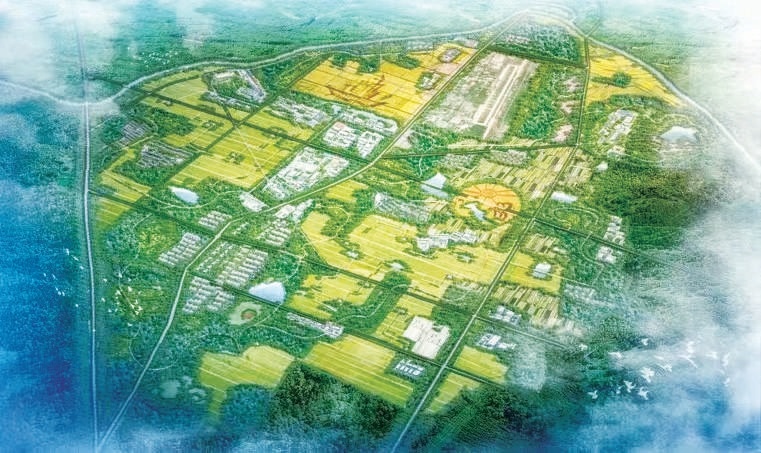 張家灣智慧護(hù)林添彩城市副中心