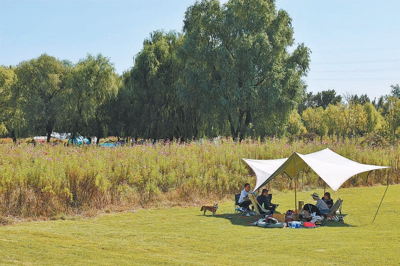 游人在綠心公園帳篷區(qū)享受閑暇時光。