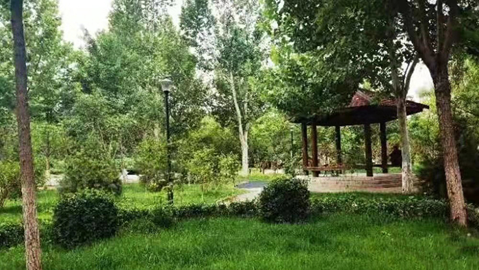 疏整促剪影丨變化天天看：留白增綠 密云這幾處公園齊亮相