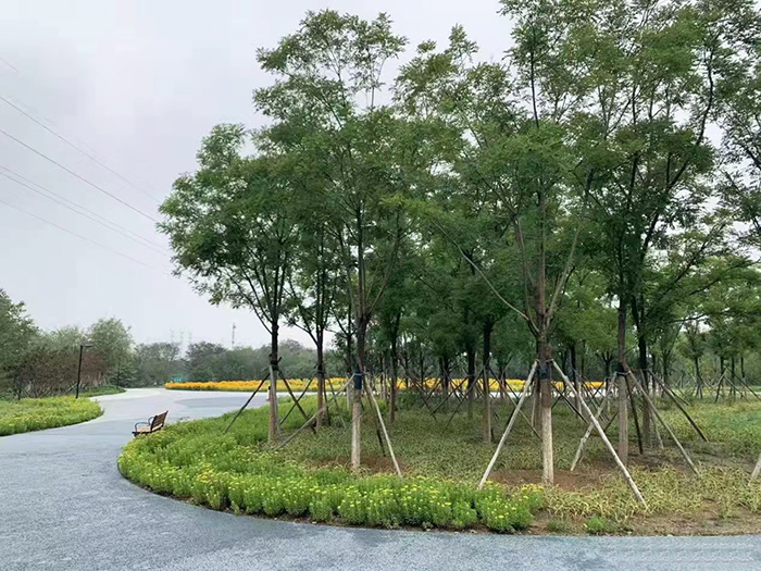疏整促剪影丨變化天天看：長安街西延 這處公園點綴京西