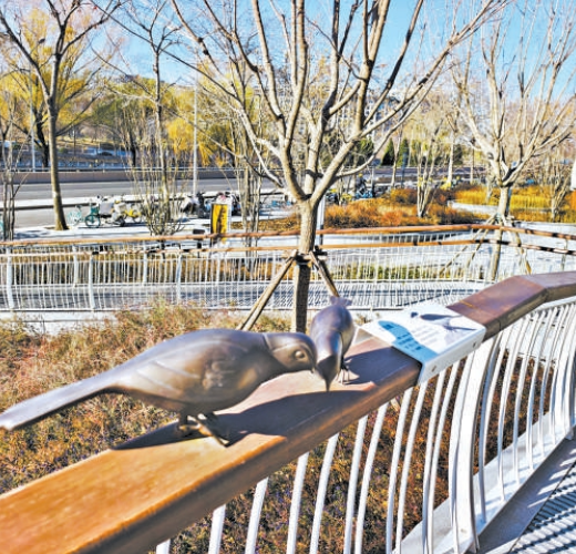 昆玉河?xùn)|岸通斷點(diǎn)貫綠廊