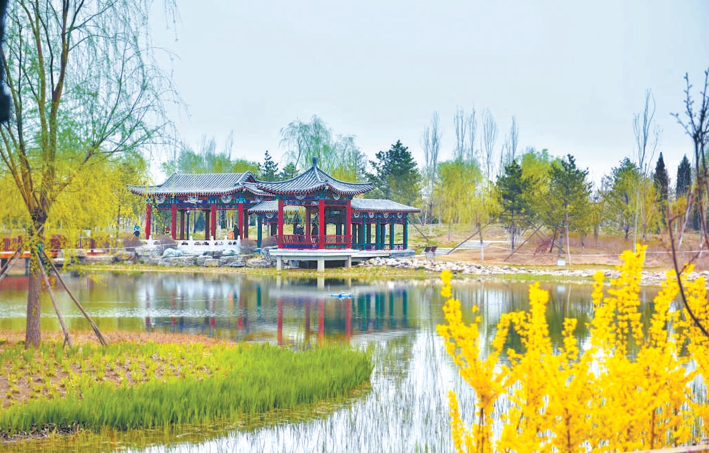 大興區(qū)舊宮城市森林春色宜人。