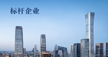 標(biāo)桿企業(yè)