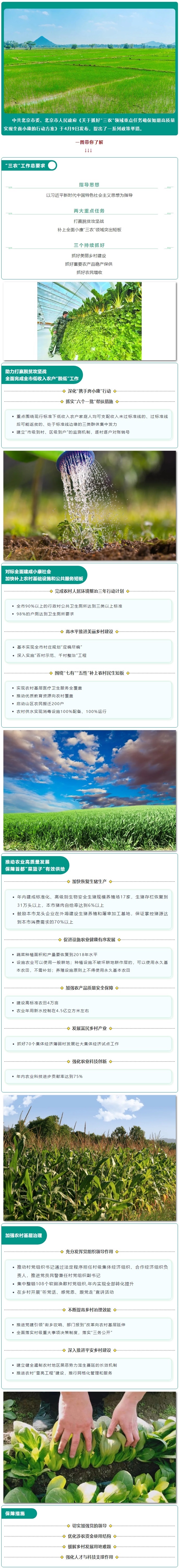一圖讀懂《關(guān)于抓好“三農(nóng)”領(lǐng)域重點(diǎn)任務(wù)確保如期高質(zhì)量實(shí)現(xiàn)全面小康的行動(dòng)方案》.jpg